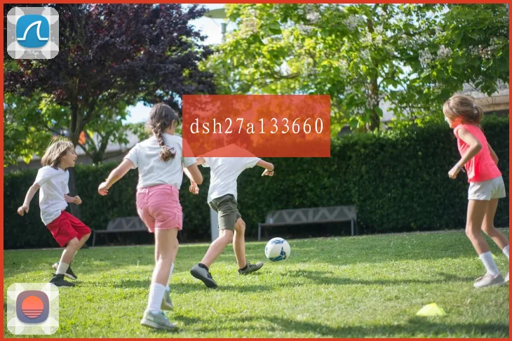 dsh27a133660