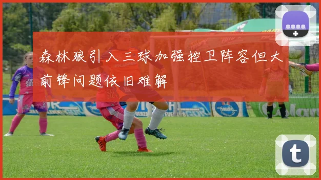 森林狼引入三球加强控卫阵容但大前锋问题依旧难解