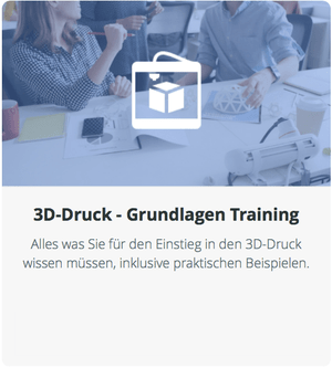 3D-Druck Grundlagen Training rioprinto