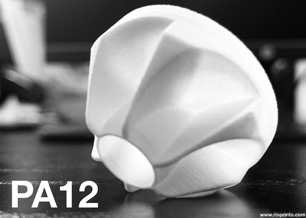 PA12 3D-Druck SLS